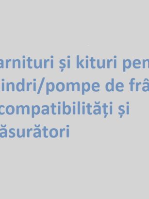 Garnituri-&-kituri-frână–ghid-2025