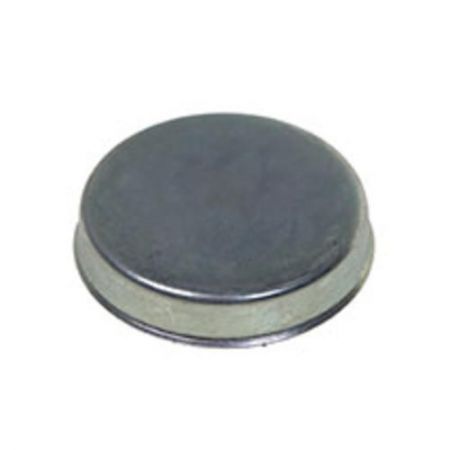 Capac rulment pivot f198300020390