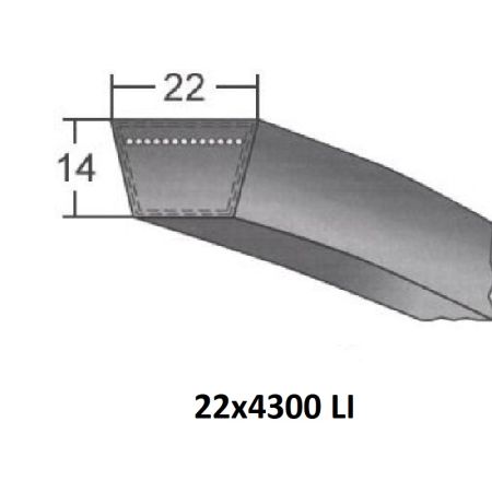 Curea trapez 22x4300 LI