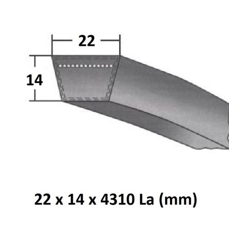 Curea trapez 22x4310 La