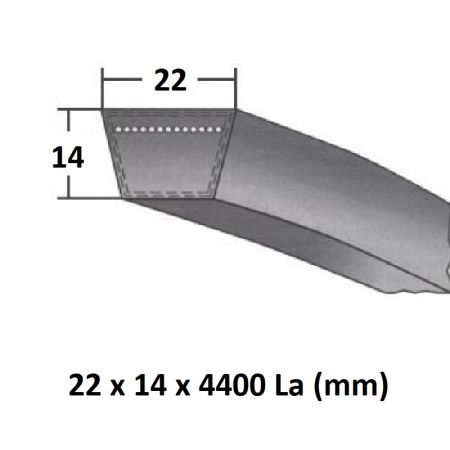 Curea trapez 22x4400 La