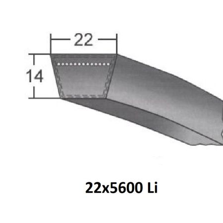 Curea trapez 22x5600 Li