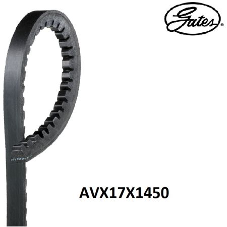 Curea trapezoidala 17X1450 La