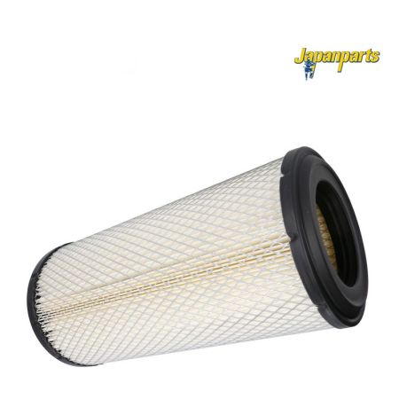 Filtru aer exterior 317096A1