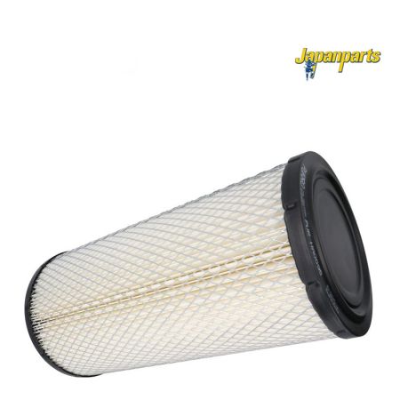 Filtru aer exterior 317096A1