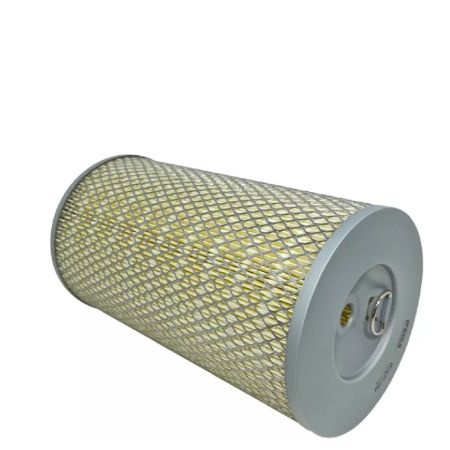 Filtru aer exterior C18009X