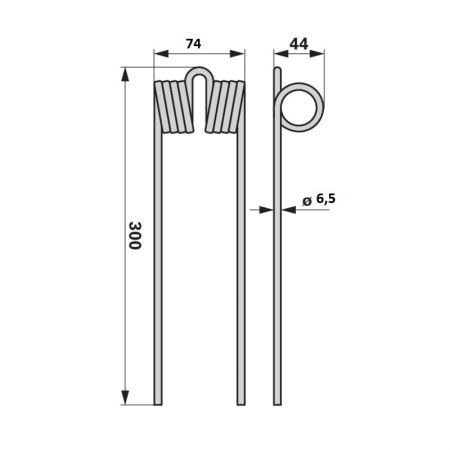 Gheara elastica Vogel & Noot F580007