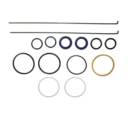 Kit reparatie cilindru 55355C91