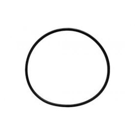 O-ring 937555.0