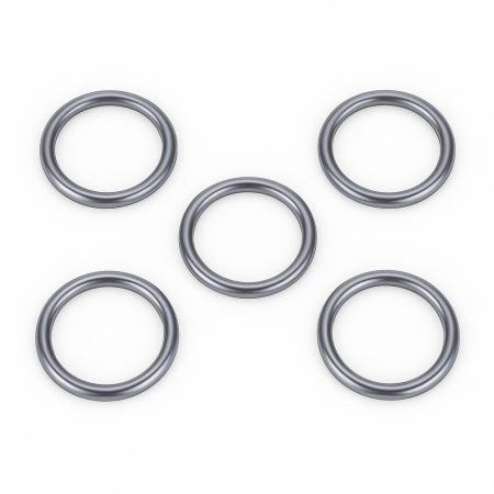 O-ring injector 4890926