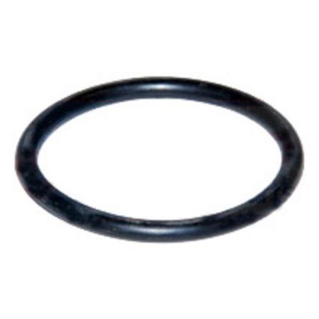O-ring pivot 81669c1