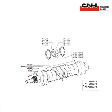 Pinion arbore 4772693