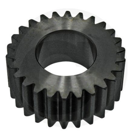 Pinion F174300020280