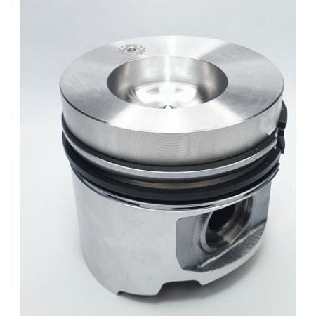 Piston+ segmenti motor 6900606