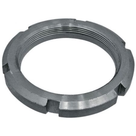 Piulita crenelata 02316043