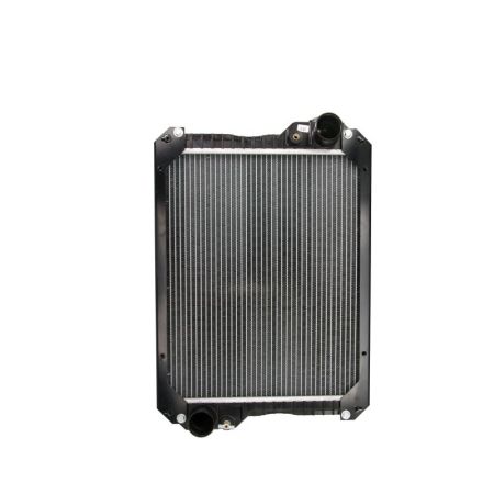 Radiator apa 239979A3