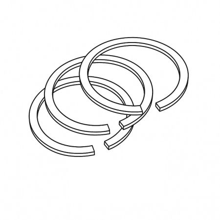 Segmenti piston 184447M1