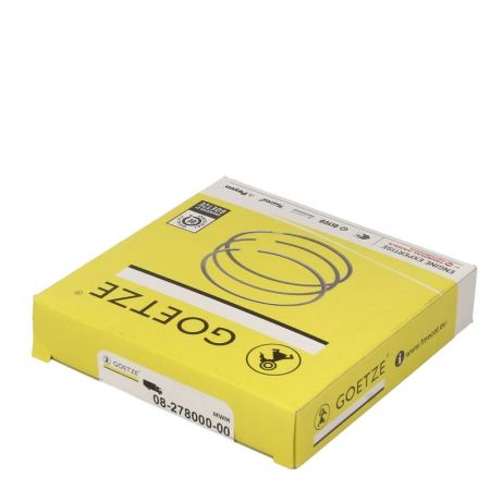 Set segmenti motor 7701201591