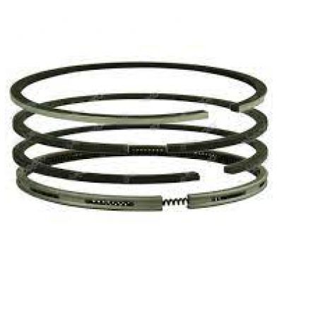 Set segment STD Ø 87,31 mm 004200526