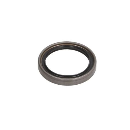 Simering pivot F198300020460