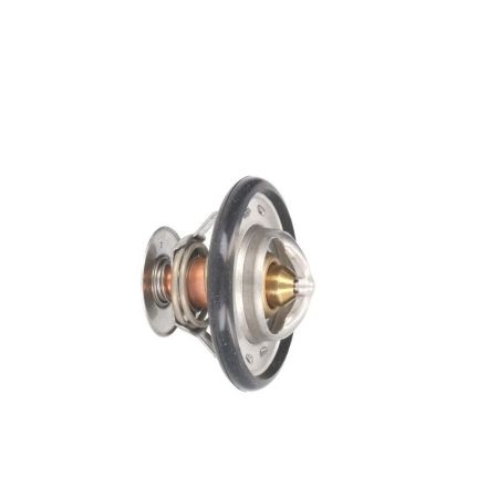 Termostat 0.007.1258.320 - 79°C