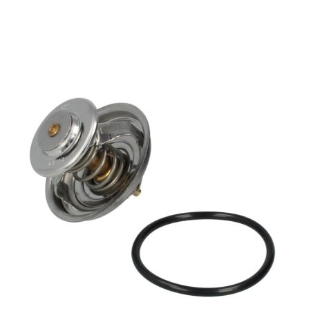 Termostat 4224624M1 - 82°C