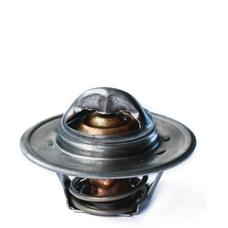Termostat 83916917 - 78°C