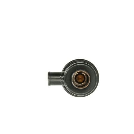Termostat F139215050020