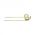 Gheara Elastica Hagedorn SW182G