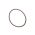 O-ring 17290581