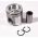 Piston Motor STD Ø 106.50 Mm RE527839
